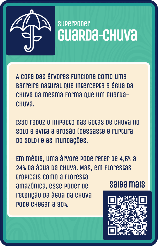 guarda-chuva